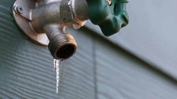 Best Plumbing Services Near Me  in Bishopville, SC